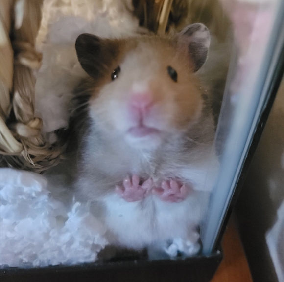 Meet your Posher, Jessica - Picture 8 of 9